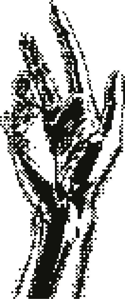 Halftone black and gray digital art of a hand making pointing at the CTA button to contact the studio