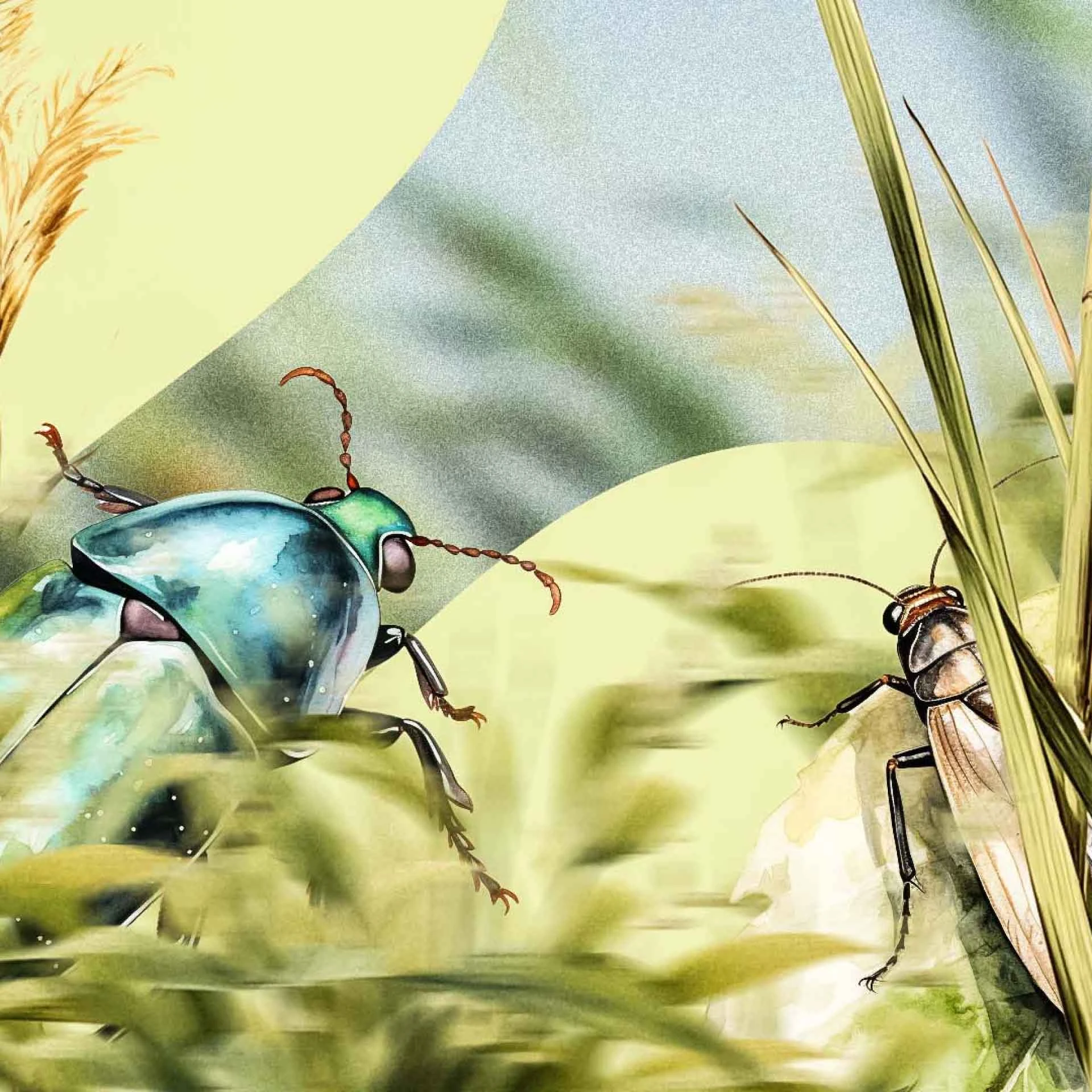 Illustration part of the Ponda's visual system showing  a metallic green beetle facing a brown cricket among grass and plants.